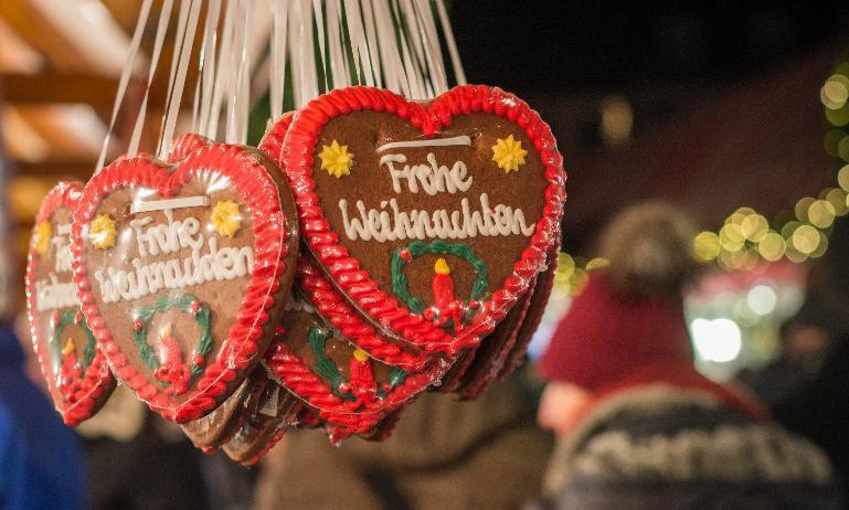 Festive Delights Rhine