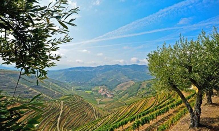 Your Hotel Title Here