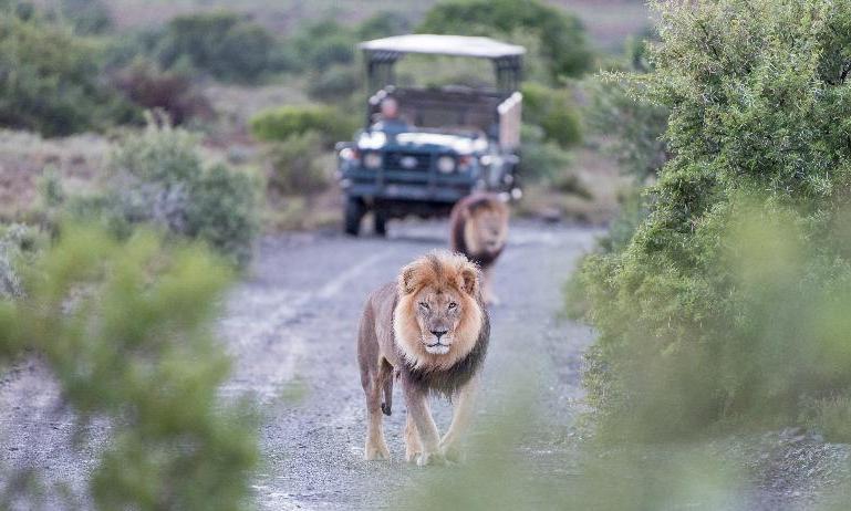 Your Hotel Title Here