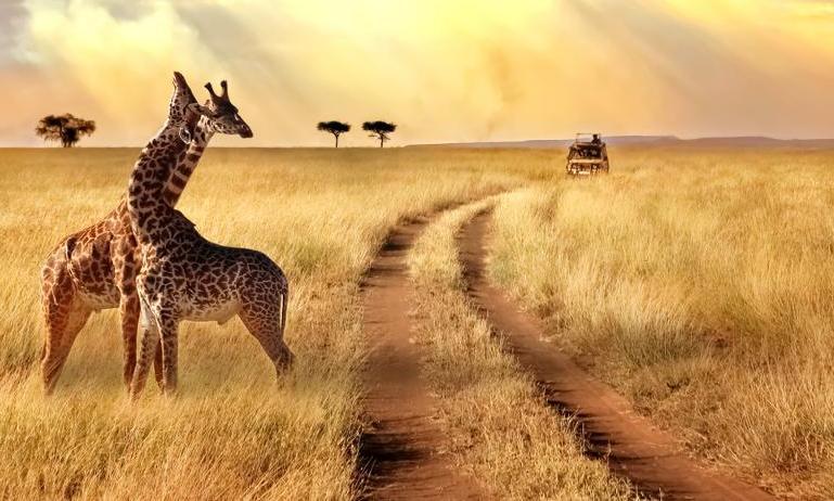 Your Hotel Title Here