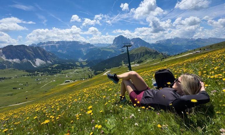 Alpine Adventures