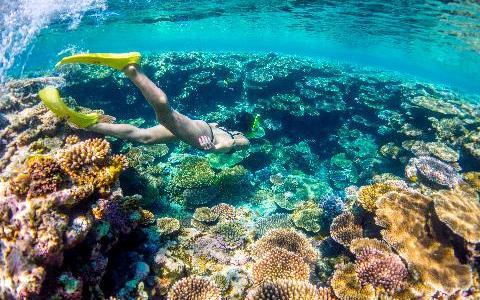 Cruise Types & Destinations